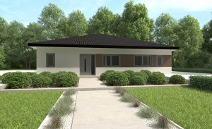 ViduHaus3