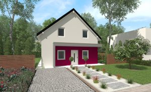 ViduHaus5
