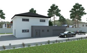 ViduHaus6